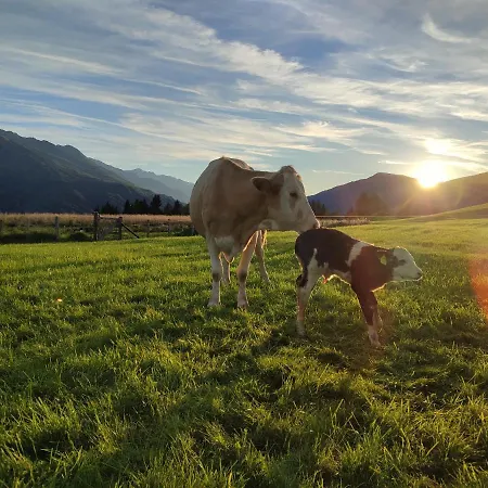 Semesterbostad Am Biohof Widholz Mittersill