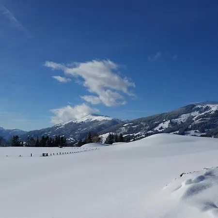 Widholzhof