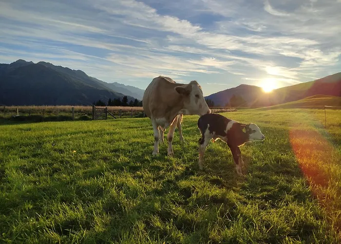 Feriehus Am Biohof Widholz Mittersill
