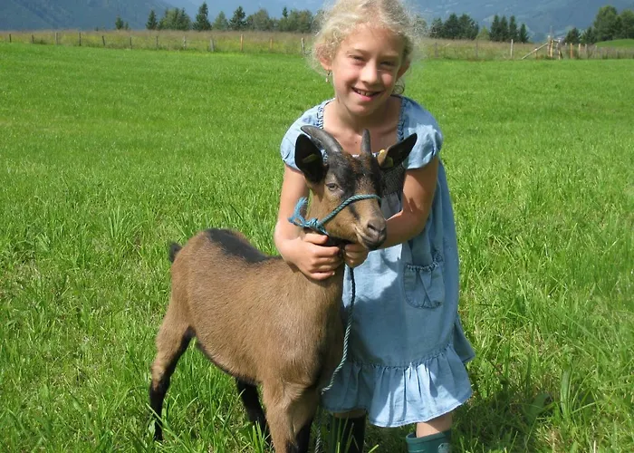 Feriehus Am Biohof Widholz Mittersill