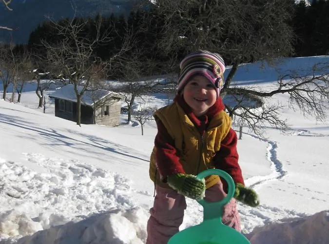 Feriehus Am Biohof Widholz Mittersill